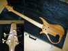 TUNE TWB5 WG Fretless3.jpg